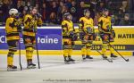 Photo hockey match Nantes - Chambéry le 05/03/2022
