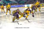 Photo hockey match Nantes - Chambéry le 28/01/2023