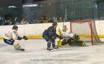 Photo hockey match Nantes - Chambéry le 14/04/2024
