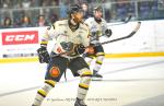 Photo hockey match Nantes - Chambéry le 14/04/2024