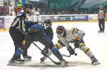 Photo hockey match Nantes - Chambéry le 14/04/2024