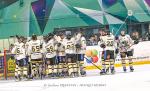 Photo hockey match Nantes - Chambéry le 14/04/2024