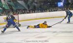 Photo hockey match Nantes - Chambéry le 23/11/2024