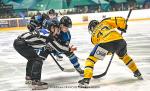 Photo hockey match Nantes - Chambéry le 23/11/2024