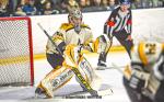 Photo hockey match Nantes - Strasbourg  le 29/01/2025