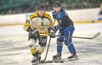 Photo hockey match Nantes - Strasbourg  le 29/01/2025