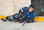 Photo hockey match Nantes - Strasbourg  le 03/02/2026