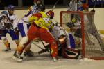 Photo hockey match Orléans - Clermont-Ferrand le 22/01/2011