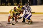 Photo hockey match Orléans - Clermont-Ferrand le 22/01/2011