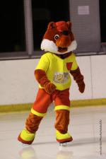 Photo hockey match Orléans - Compiègne le 17/12/2011