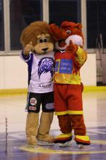 Photo hockey match Orléans - Compiègne le 24/03/2012