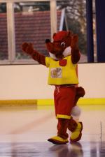 Photo hockey match Orléans - Toulon le 24/09/2011