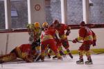 Photo hockey match Orléans - Viry-Châtillon le 09/03/2013