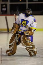 Photo hockey match Orléans - Wasquehal Lille le 28/01/2012