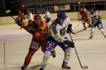 Photo hockey match Orléans - Wasquehal Lille le 28/01/2012