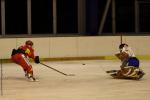 Photo hockey match Orléans - Wasquehal Lille le 28/01/2012