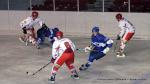 Photo hockey match Paris (FV) - Amnéville le 20/11/2010