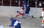 Photo hockey match Paris (FV) - Amnéville le 20/11/2010