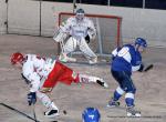 Photo hockey match Paris (FV) - Amnéville le 20/11/2010