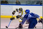 Photo hockey match Paris (FV) - Chambéry le 18/02/2017