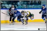 Photo hockey match Paris (FV) - Chambéry le 18/02/2017
