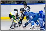 Photo hockey match Paris (FV) - Chambéry le 18/02/2017