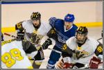 Photo hockey match Paris (FV) - Chambéry le 18/02/2017