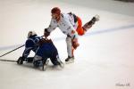 Photo hockey match Reims - Amnéville le 28/11/2009
