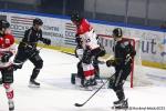 Photo hockey match Rouen - Amiens  le 01/03/2025