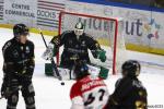 Photo hockey match Rouen - Amiens  le 01/03/2025