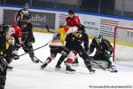 Photo hockey match Rouen - Amiens  le 01/03/2025