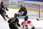 Photo hockey match Rouen - Amiens  le 09/03/2025