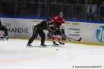 Photo hockey match Rouen - Amiens  le 09/03/2025