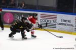 Photo hockey match Rouen - Amiens  le 09/03/2025