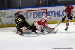 Photo hockey match Rouen - Amiens  le 09/03/2025