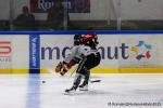 Photo hockey match Rouen - Amiens  le 07/09/2025