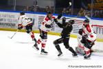 Photo hockey match Rouen - Amiens  le 04/01/2026