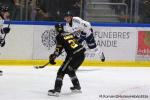 Photo hockey match Rouen - Angers  le 05/02/2026