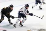 Photo hockey match Rouen - Angers  le 05/02/2026