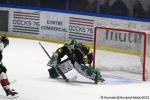 Photo hockey match Rouen - Bordeaux le 11/02/2025