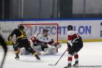 Photo hockey match Rouen - Bordeaux le 11/02/2025