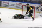 Photo hockey match Rouen - Bordeaux le 11/02/2025