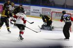 Photo hockey match Rouen - Bordeaux le 11/02/2025