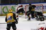 Photo hockey match Rouen - Bordeaux le 11/02/2025