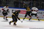 Photo hockey match Rouen - Bordeaux le 11/02/2025