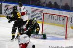 Photo hockey match Rouen - Bordeaux le 11/02/2025