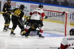 Photo hockey match Rouen - Bordeaux le 11/02/2025
