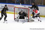 Photo hockey match Rouen - Bordeaux le 28/03/2026