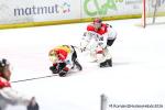 Photo hockey match Rouen - Bordeaux le 28/03/2026