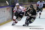 Photo hockey match Rouen - Briançon  le 28/01/2014